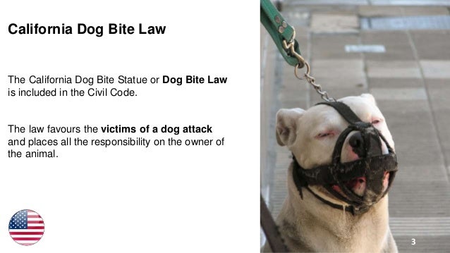 california dog laws california dog laws